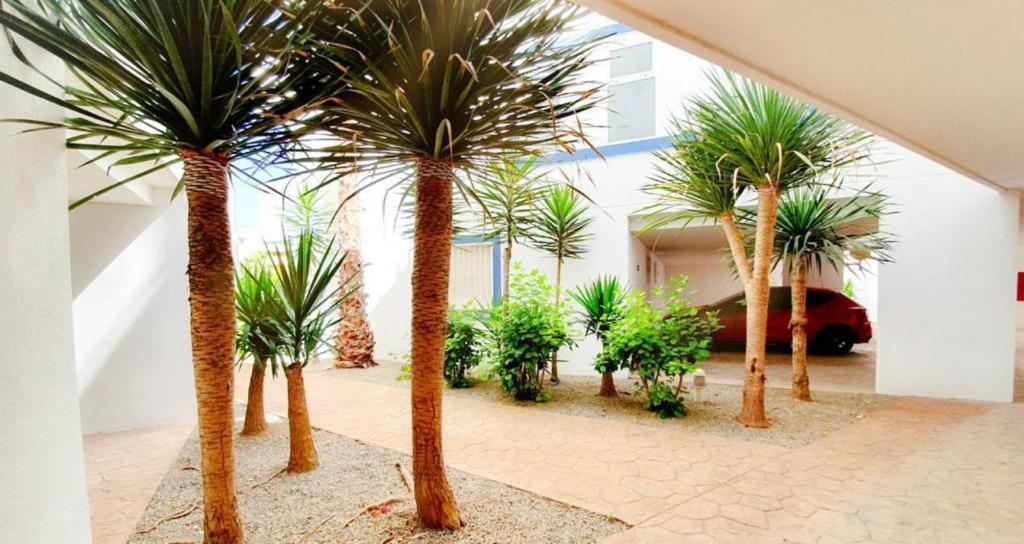 Apartment With Sea Views In Las Terrazas/Playa Flamenca Dehesa de Campoamor  Esterno foto