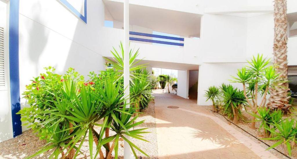Apartment With Sea Views In Las Terrazas/Playa Flamenca Dehesa de Campoamor  Esterno foto